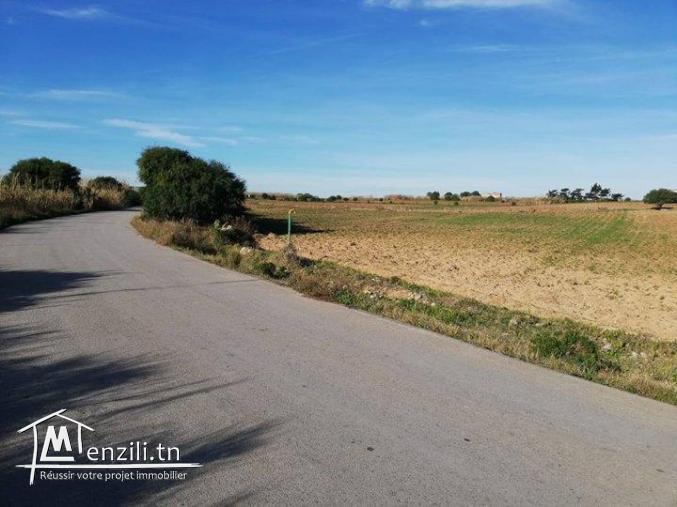 Nouveau lotissement 300 m² à plage sable blanc Elhaouaria