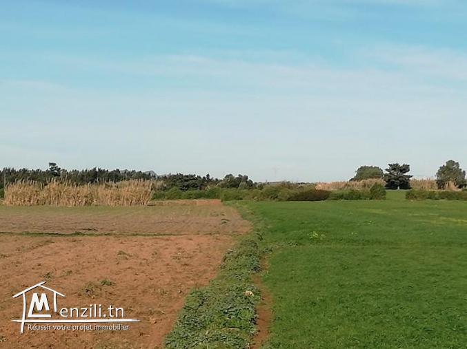 Nouveau lotissement 300 m² à plage sable blanc Elhaouaria