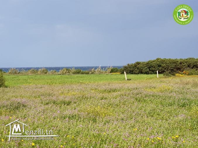 Promo :un terrain 180m² a kerkwen / kelibia