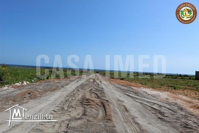 terrain à vendre à kerkouane pour plus d'info 26875066