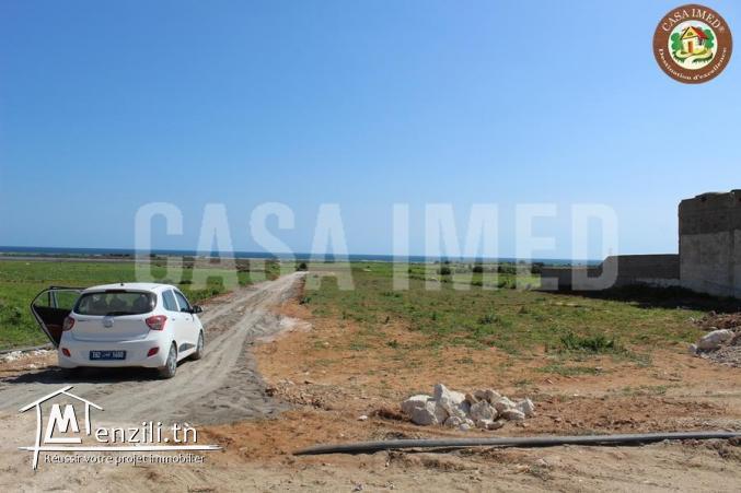 terrain à vendre à kerkouane pour plus d'info 26875066