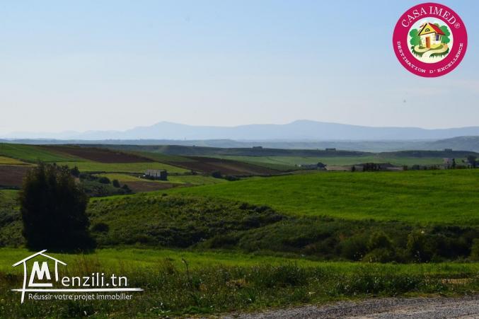 terrain en promotion a vendre a kerkouane pour plus d'info 26875066