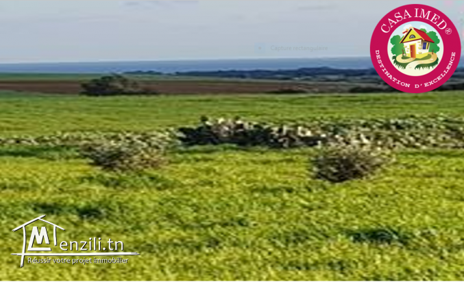 terrain en promotion a vendre a kerkouane pour plus d'info 26875066