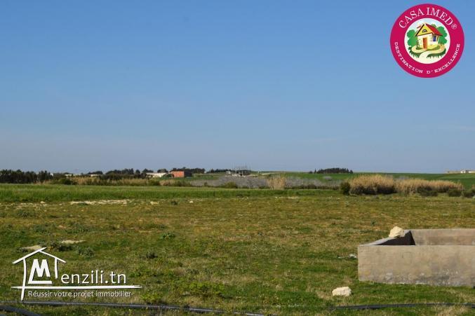 terrain en promotion a vendre a kerkouane pour plus d'info 26875066