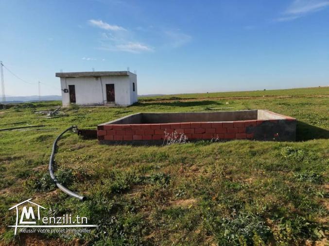 terrain a vendre à kéllibia menzel brahim pour plus d'info 26875066
