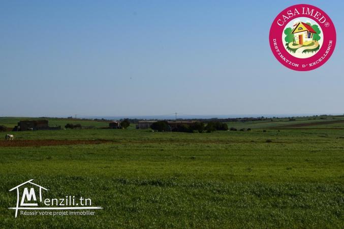 terrain a vendre à kéllibia menzel brahim pour plus d'info 26875066