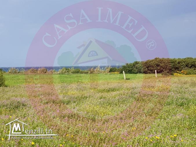 terrain pied dans l'eau à kerkouane pour plus d'info 26875066