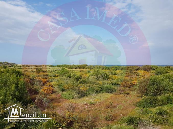 terrain a vendre à kerkouane pour plus d'info 26875066