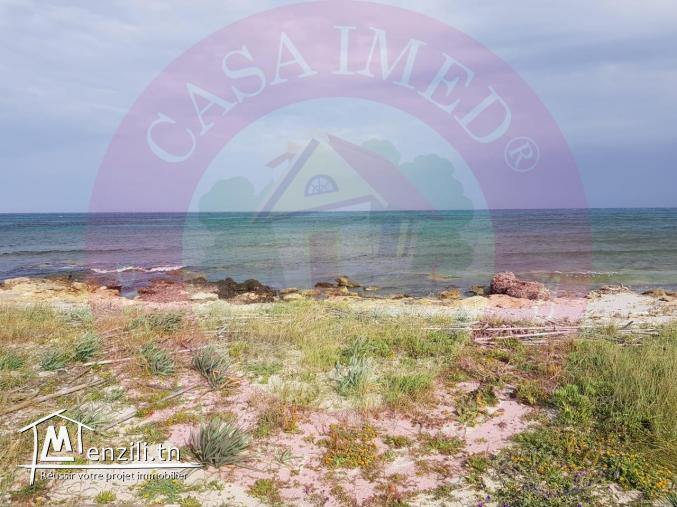 terrain a vendre à kerkouane pour plus d'info 26875066