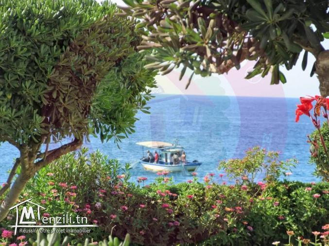 terrain a vendre à kerkouane pour plus d'info 26875066