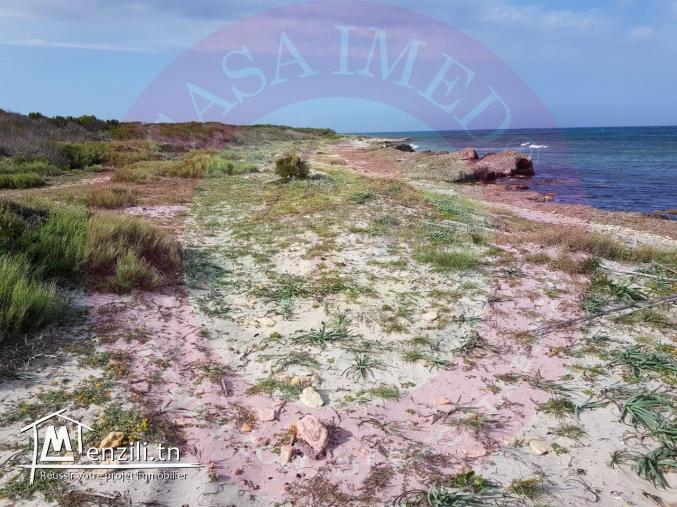 terrain a vendre à kerkouane pour plus d'info 26875066