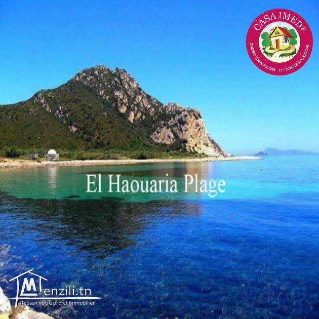 promotion : lotissement a vendre à haouaria pour plus d'info 26875066