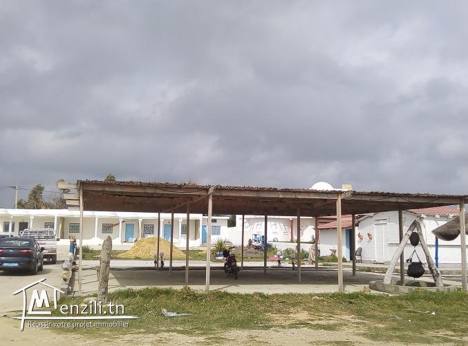 terrain a vendre à kerkouane pour plus d'info 26875066