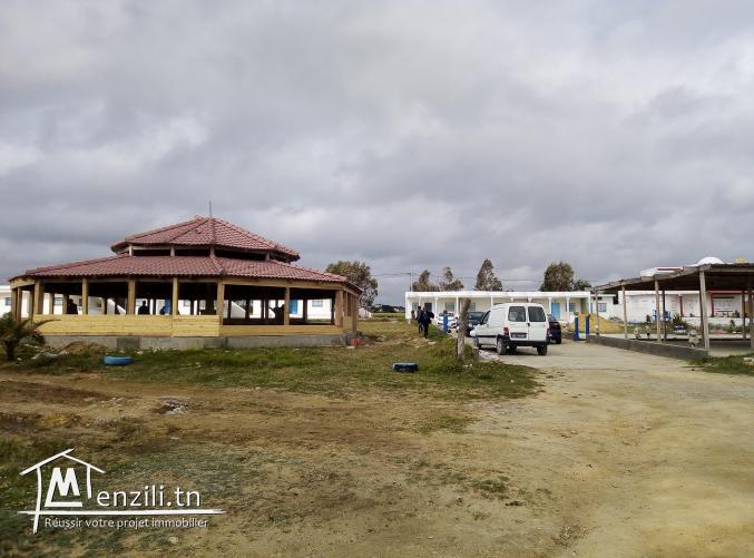 terrain a vendre à kerkouane pour plus d'info 26875066