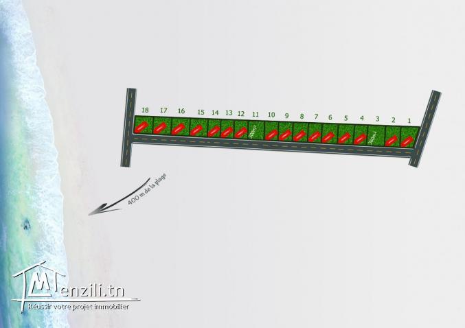 promotion: terrain a vendre à menzel horr TLF : 26875066