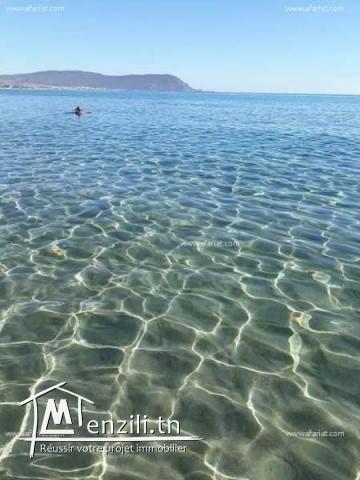 terrain a vendre à dar allouch pour plus d'info 26875066