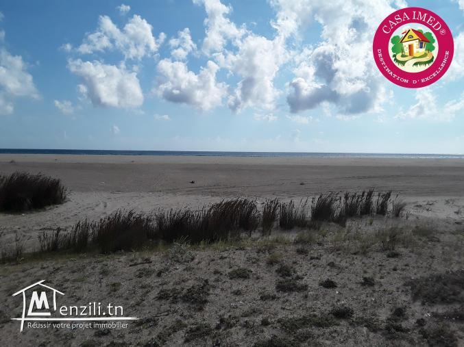 terrain a vendre à dar allouch pour plus d'info 26875066