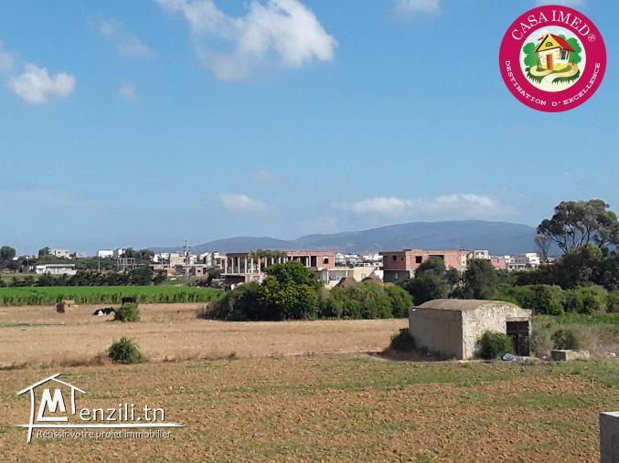 terrain a vendre à dar allouch pour plus d'info 26875066