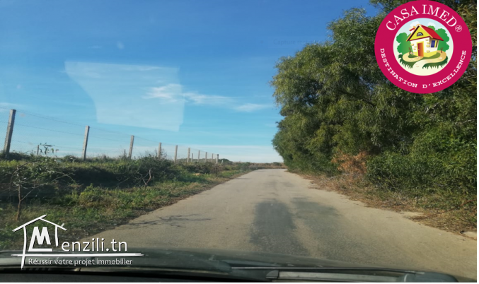 lot a vendre à haouaria pour plus d'info 26875066