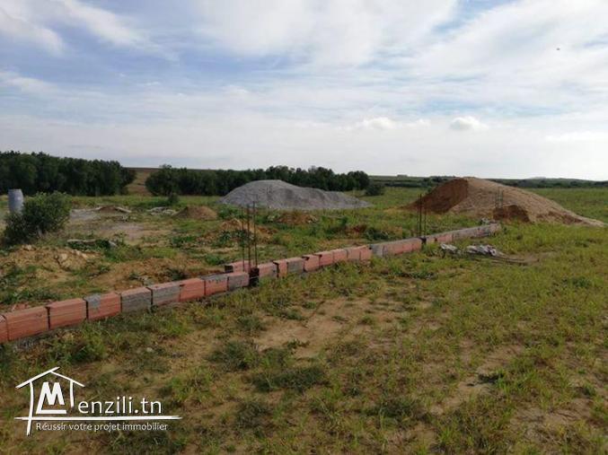 شكون ما يحبش يصيف في قليبية ؟؟؟