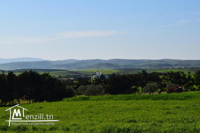 شكون ما يحبش يصيف في قليبية ؟؟؟