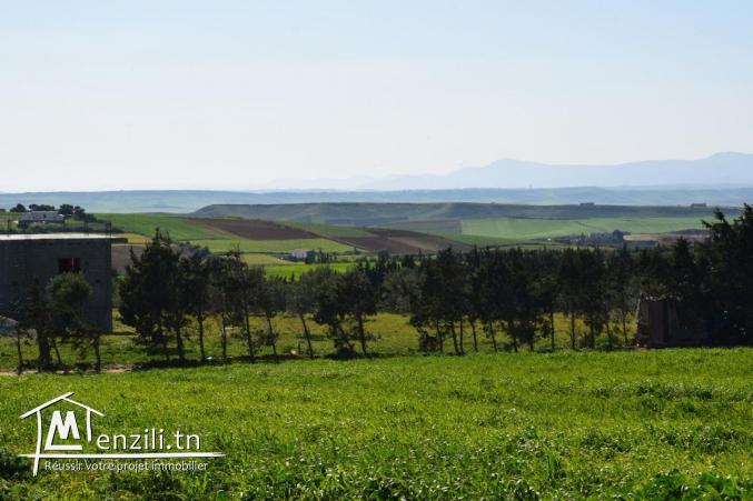 pour vos futures maisons ou projets de compagne à kelibia