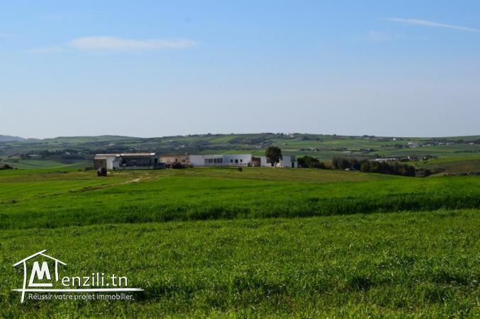 pour vos futures maisons ou projets de compagne à kelibia