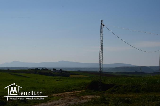 pour vos futures maisons ou projets de compagne à kelibia