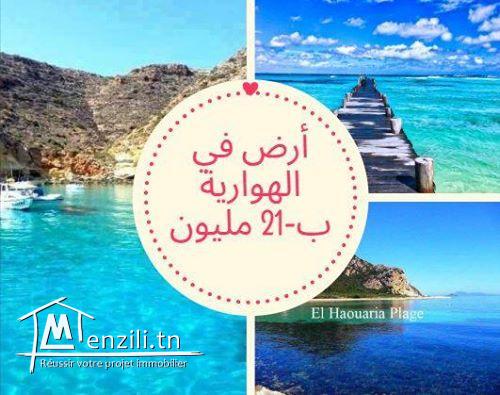 Nouveau lotissement  300 m² à plage sable blanc Elhaouaria