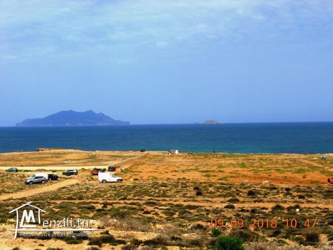 Nouveau lotissement  300 m² à plage sable blanc Elhaouaria