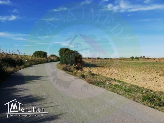 Nouveau lotissement  300 m² à plage sable blanc Elhaouaria