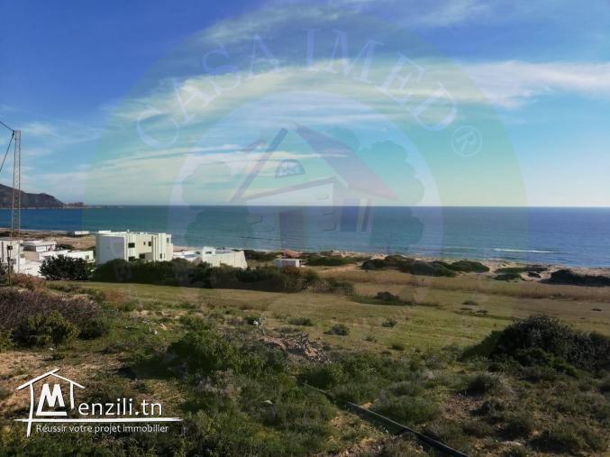 Nouveau lotissement  300 m² à plage sable blanc Elhaouaria