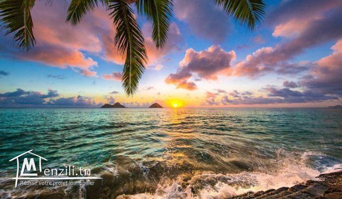 Nouveau lotissement  300 m² à plage sable blanc Elhaouaria