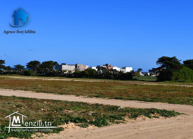 lotissement vue sur mer