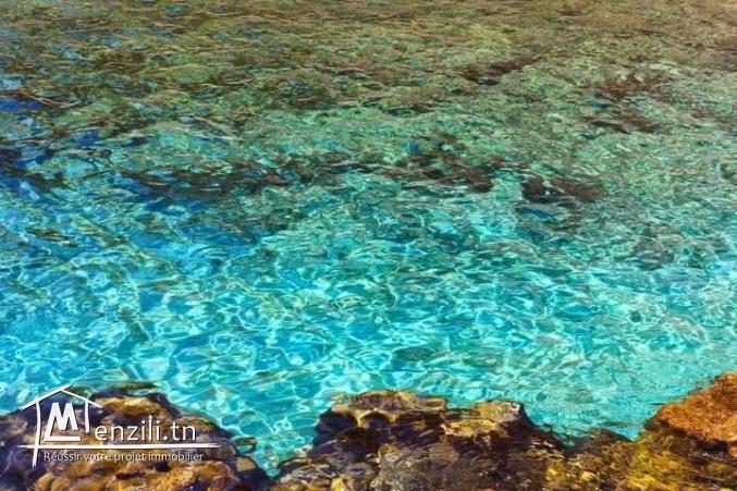 Terrain pied dans l'eau à kerkwene / kelibia