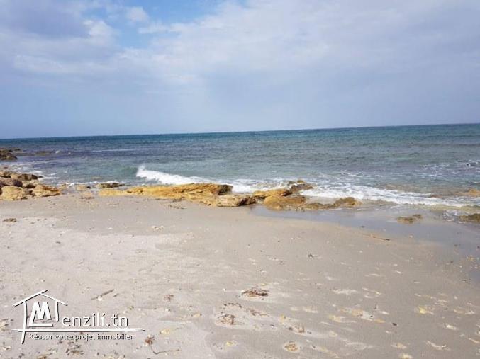 Terrain pied dans l'eau à kerkwene / kelibia