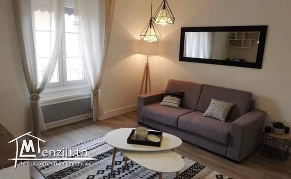 Location Appartements meublés dans une région calme