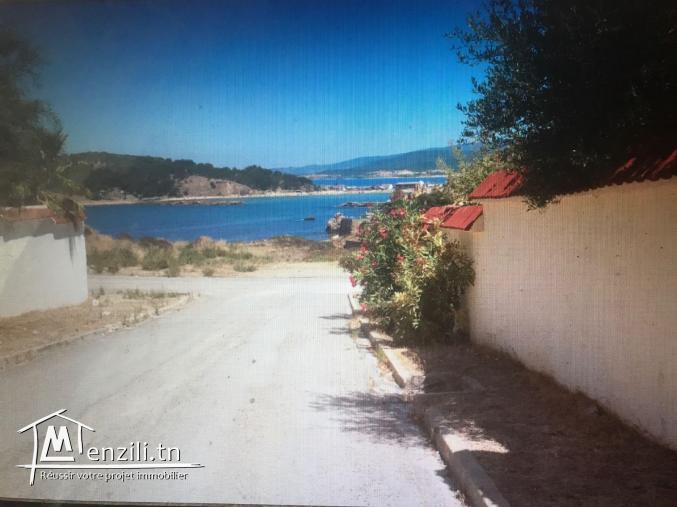 Terrain de 768m2 à Tabarka, cité Larmel