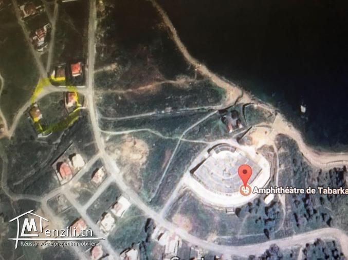 Terrain de 768m2 à Tabarka, cité Larmel