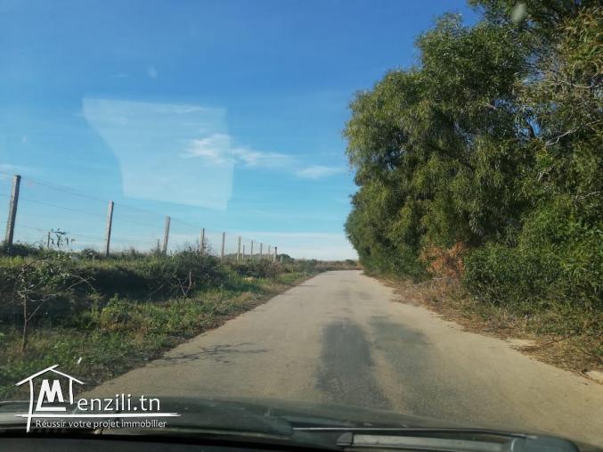 un terrain  300 m² a 21000MT seulement a la plage el hawaria