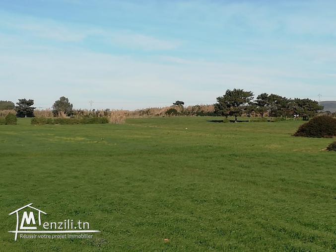 un terrain  300 m² a 21000MT seulement a la plage el hawaria