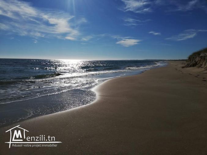 un terrain  300 m² a 21000MT seulement a la plage el hawaria