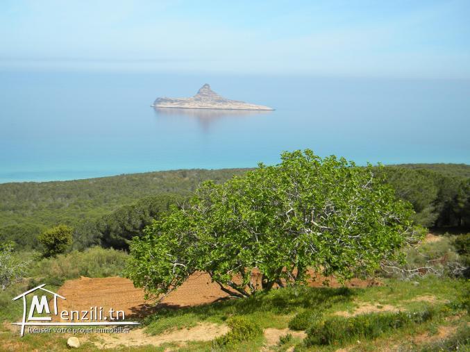 terrain rafraf plage