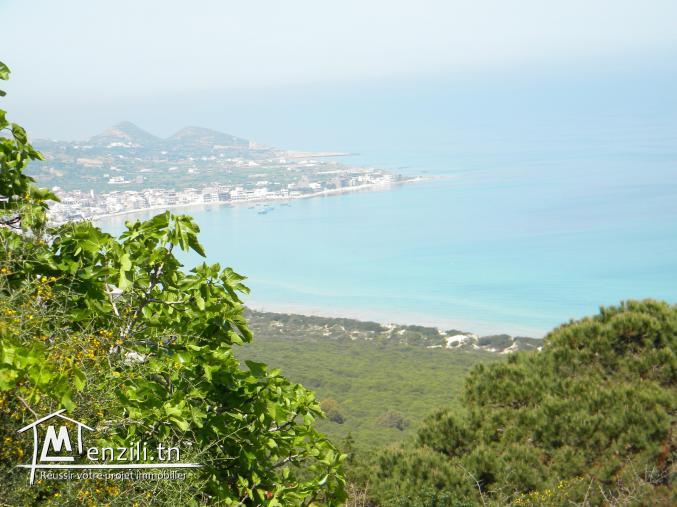 terrain rafraf plage