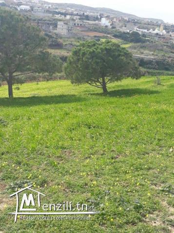 TERRAIN AGRICOL A RAFRAF