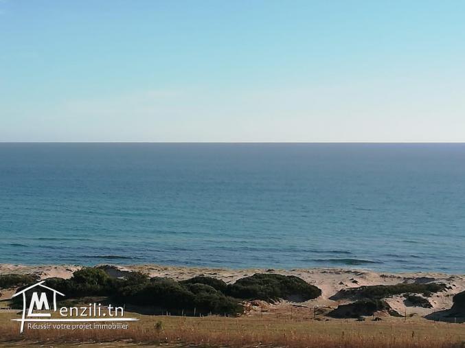 la promo d'aujourd'hui