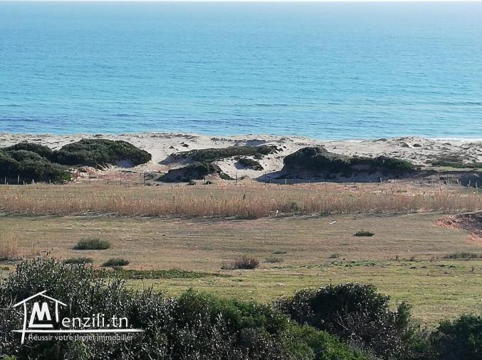 la promo d'aujourd'hui