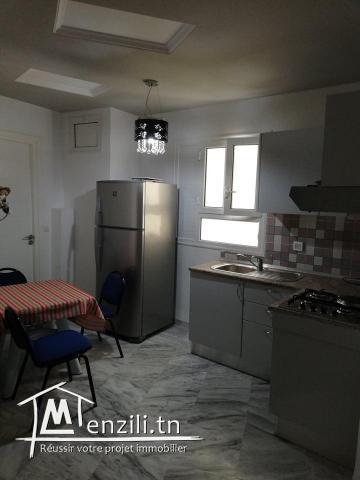 appartement à louer /100 dt nuit 