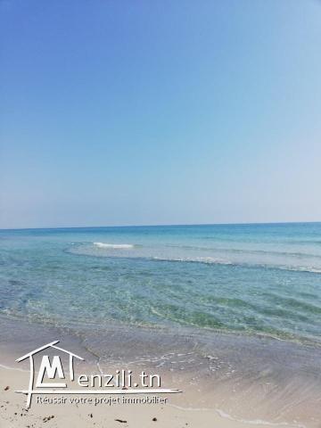 appartement à louer /100 dt nuit 