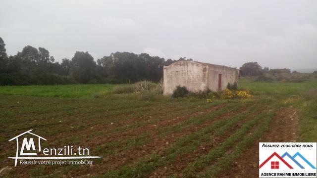 Terrain agricole de 18060m2 avec titre bleu